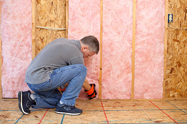 Best Insulation Maintenance and Repair in Paola, KS