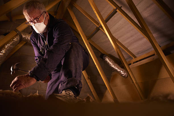 Best Types of Insulation in Paola, KS