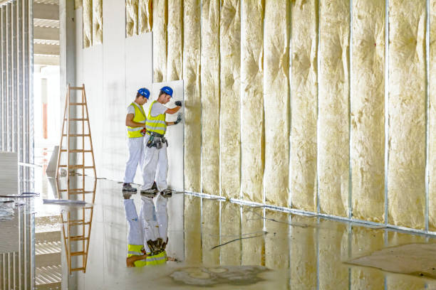 Best Residential Insulation in Paola, KS